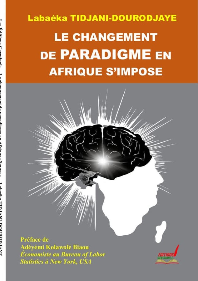 Le changement de paradigme en Afrique s'impose